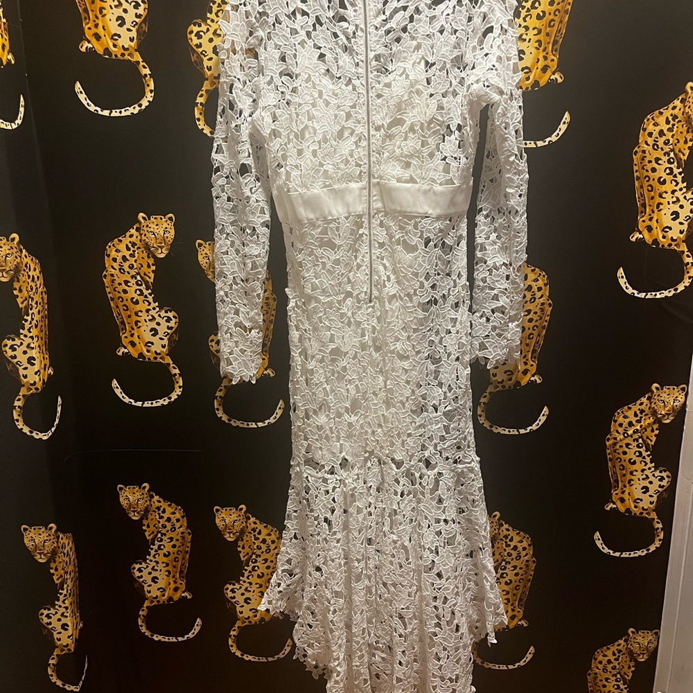 Chic Long Sleeve White Lace Dress - Picture 4 of 6